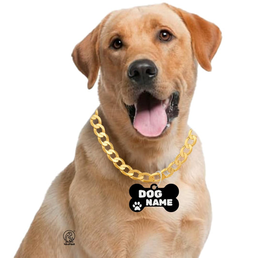 Personalized Gold Chain Collar