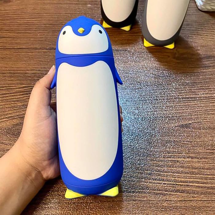 Vacuum Insulated Water Bottle