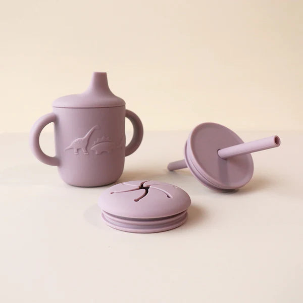 Sippy Cup with 3 Lids - Hushed Plumb