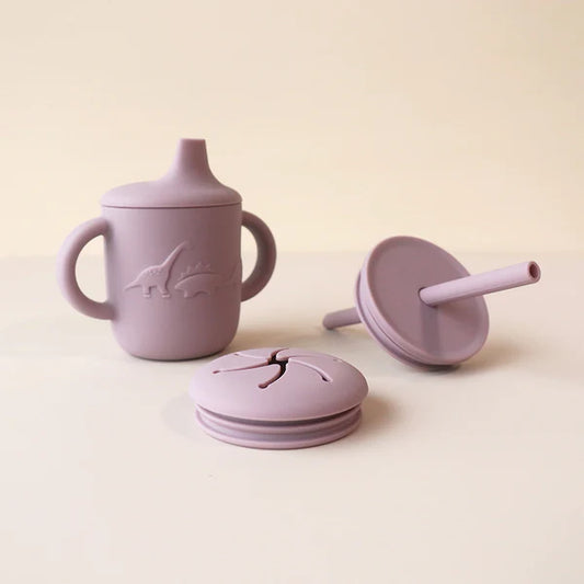 Sippy Cup with 3 Lids - Hushed Plumb