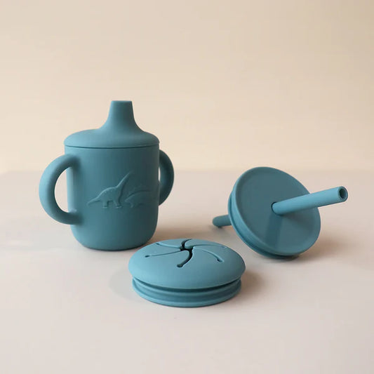 Sippy Cup with 3 Lids - Smoke Blue